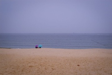 IMGP5168.jpg