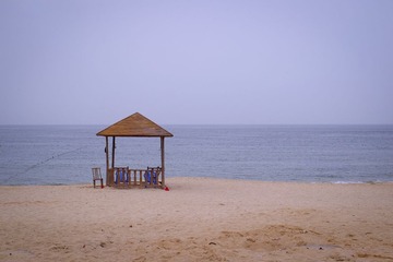 IMGP5174.jpg