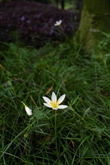 IMGP5104.jpg