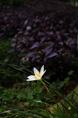 IMGP5103.jpg