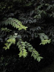 00A4591A-BBDA-46A6-99C6-45BA30C778F6/L0/001