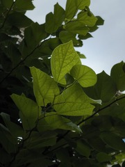 023F0847-5A8D-476C-B5A0-B7EAD2723130/L0/001