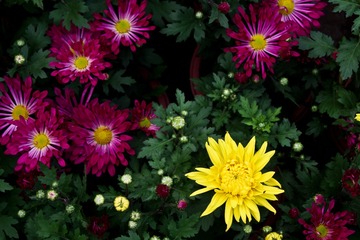 IMGP0877-2