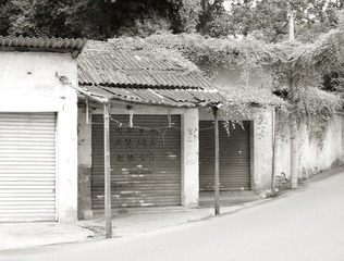 IMGP5351-2