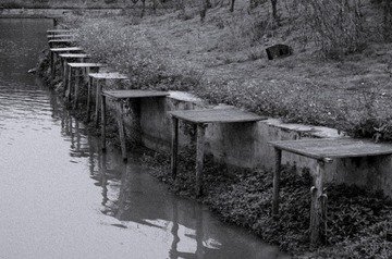 IMGP6017-2