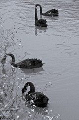 IMGP6020-2
