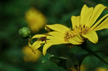 IMGP2706-2