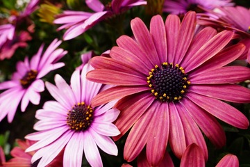 F540C53A-532E-42EE-AA01-2630E428C0A1/L0/001