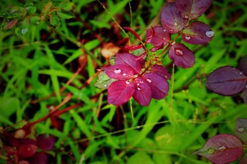 IMG_8086_副本.jpg