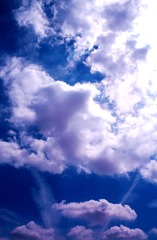 IMG_8210_副本.jpg