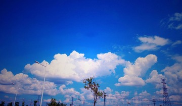IMG_8247_副本.jpg