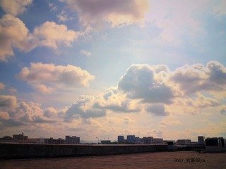 IMG_8263_副本_副本_副本_副本.jpg