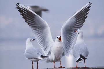 7856
