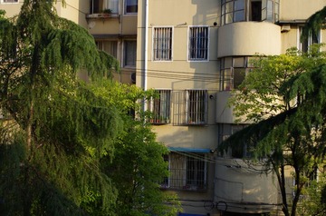 IMGP0001.JPG