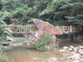 DSCF1431.JPG