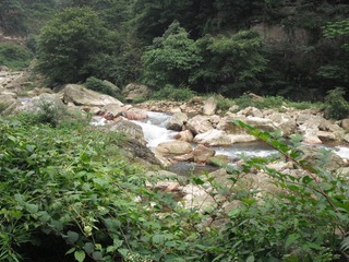 DSCF1423.JPG