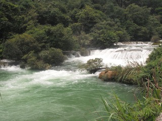 DSCF1509.JPG