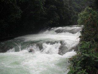DSCF1529.JPG