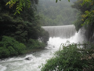DSCF1549.JPG