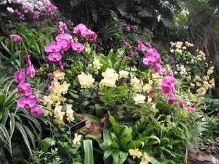 DSCF1731.JPG