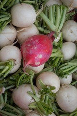 EM5P0479.jpg
