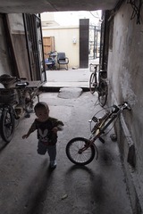 P8238051.jpg