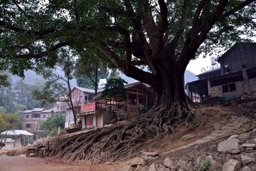 EY0_5968
