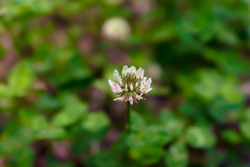 _DSC1568.jpg