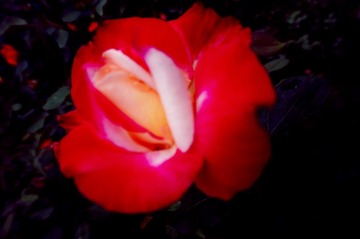 DSC01078_副本.jpg