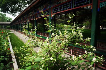 DSC01083_副本.jpg