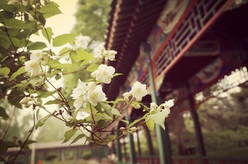 DSC01088_副本.jpg