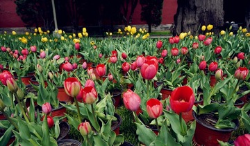 DSC01090_副本.jpg