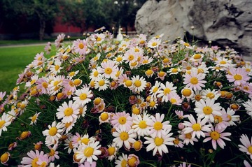 DSC01099_副本.jpg