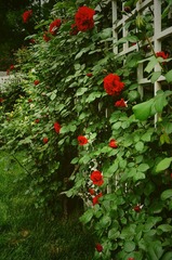 DSC01102.jpg