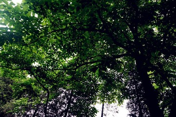 DSC01116、.jpg
