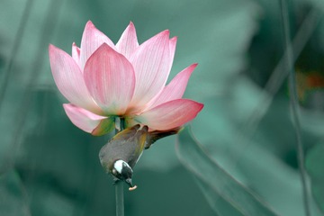 001