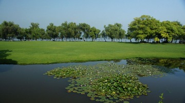 DSC01551.JPG