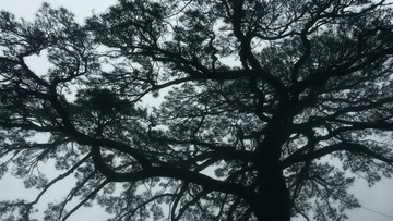 DSC02116.JPG