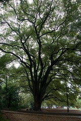 DSC09718.jpg