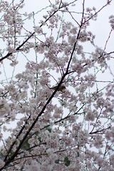 22DSC09576.jpg