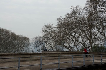 35DSC09666.jpg