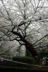 DSC00053.jpg