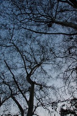 DSC00465.jpg