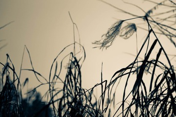 161DSC03604
