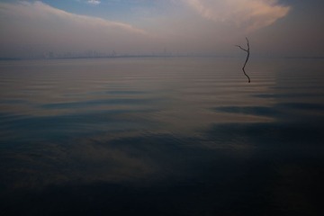 219DSC03930