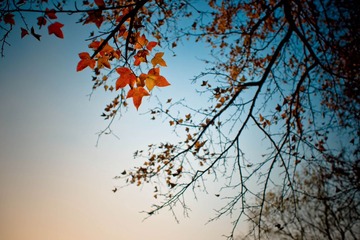 171DSC03717