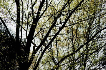 83DSC09611