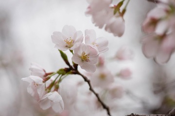 105DSC08815
