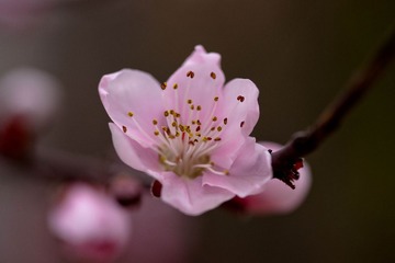 122DSC08886