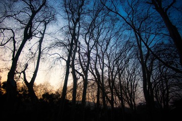 157DSC00005